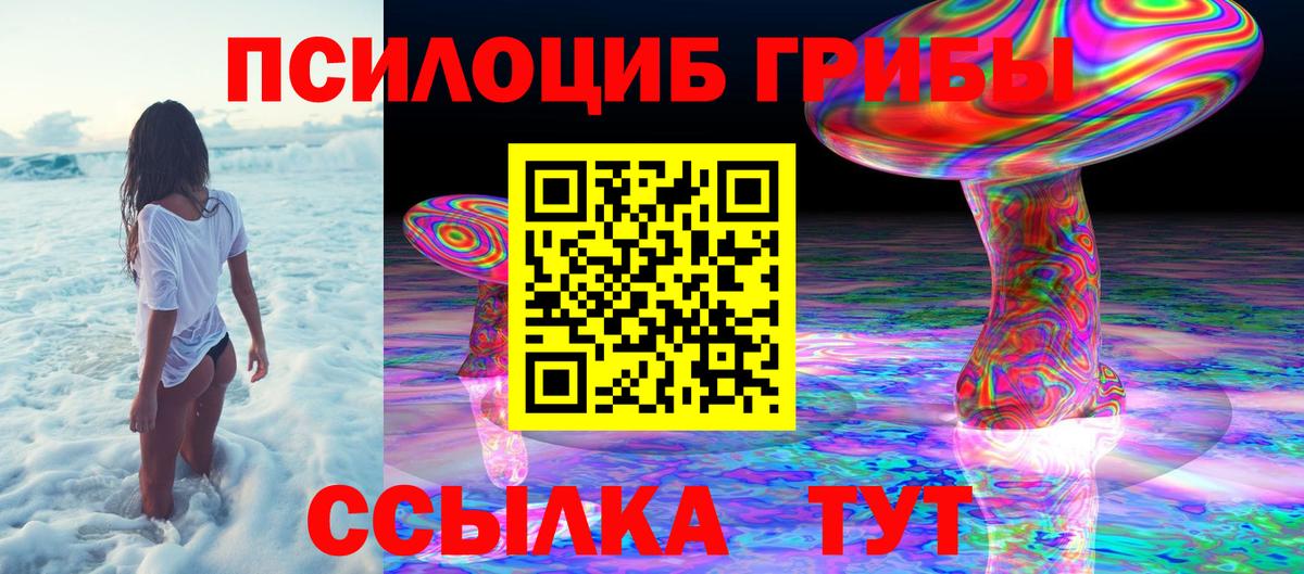 Псилоцибиновые грибы GOLDEN TEACHER  Вход с VPN  Кимовск  Псилоцибиновые грибы Psilocybine cubensis 
