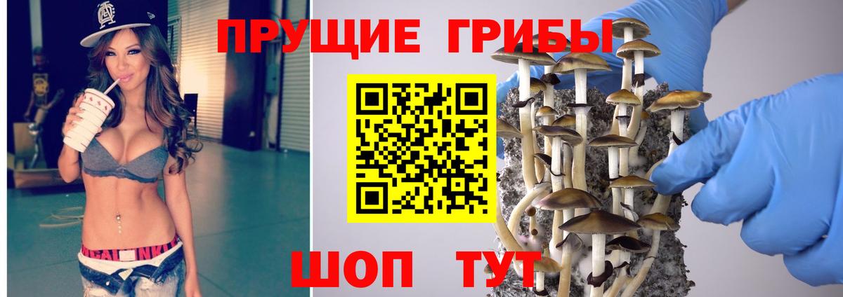 Галлюциногенные грибы мухоморы Кимовск